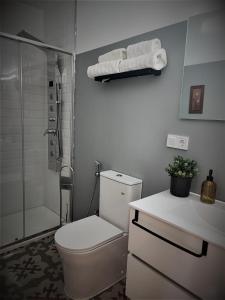 uma casa de banho com um chuveiro, um WC e um lavatório. em Apartamento Merlot 11 em Novelda