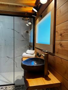 a bathroom with a sink and a glass shower at Càmping l'Alguer in Les Planes d'Hostoles