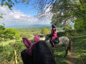 una persona montando un caballo en un campo en Outstandingly situated cosy Shepherds Hut, en Longhope