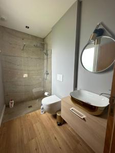 a bathroom with a toilet and a sink and a shower at maison avec piscine in Guéthary +7 photos