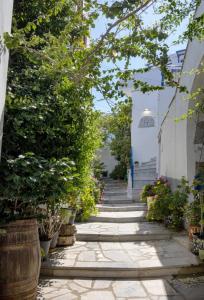 Zahrada ubytování Βόλτα Καλλονή studio (Volta Kalloni)
