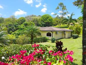 a house in a garden with pink flowers at Lakeview Arenal 1 Bed Suite, Communal Pool & Gym - 2024 Traveller Awards Winner in Tronadora