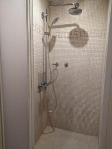a shower with a shower head in a bathroom at Camp Pera in Täsch