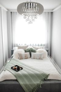 Postel nebo postele na pokoji v ubytování Apartament Staszica Nowa Sól