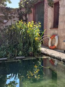 Zahrada ubytování Viento de Ladera PISCINA NATURAL y JACUZZI EXT