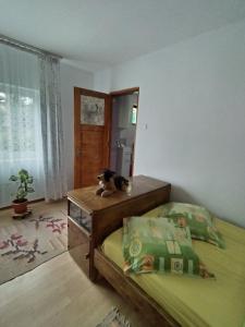 sypialnia z łóżkiem i kotem siedzącym na stole w obiekcie Casa traditionala Subcetate w mieście Subcetate