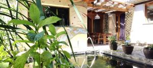 Zahrada ubytování Viento de Ladera PISCINA NATURAL y JACUZZI EXT