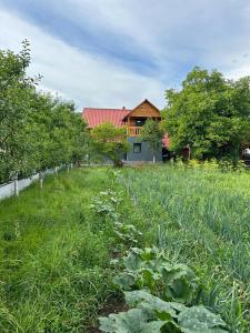 Vila Boema في فيسيو دي جوس: حقل من العشب الأخضر الطويل مع منزل في الخلفية