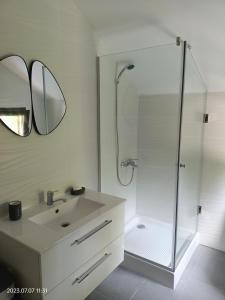 a bathroom with a shower and a sink and a mirror at ART House Transylvania , Valea Avrigului , Sibiu in Avrig