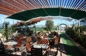 a group of chairs under a green umbrella at Hotel Vela Velo Club Vieste in Vieste