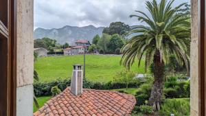 a palm tree and a house in a field with a building at Casas El Jogueru in Ribadesella