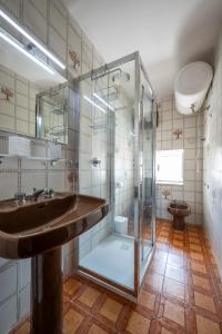 La salle de bains est pourvue d'un lavabo et d'une douche en verre. dans l'établissement La torretta sul cortile, à Monteroduni