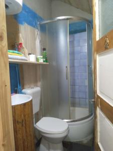 a small bathroom with a toilet and a shower at Isov Ranch in Plav