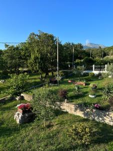 a garden with flowers and plants in a park at Villa Pari Apartment in Kotor