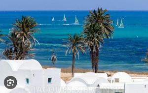 Blick auf einen Strand mit Palmen und das Meer in der Unterkunft Bungalow de charme in Midoun