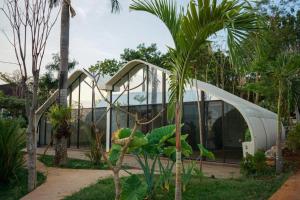 a palm tree in front of a glass house at Lucca Resort & Residence in Jepara