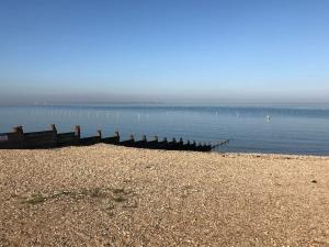 a group of birds sitting on the shore of the water at Divers Cottage - Central Whitstable in Whitstable +15 photos