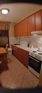 uma cozinha com um fogão, um lavatório e uma mesa em Tito's Place em Ohrid