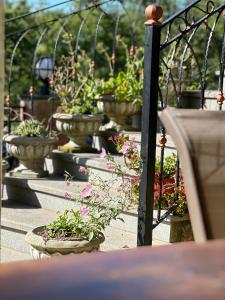 Giardino di Four Seasons in Kutaisi