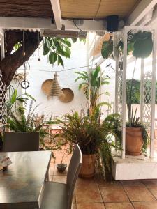 una mesa y sillas en una habitación con plantas en Hotel Ramis, en Ondara