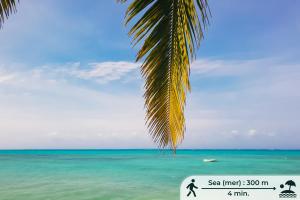 a beach with a palm tree and the ocean at TASNEEM Aparthotel in Jambiani