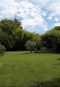 Billede fra billedgalleriet på La bambouseraie de sulauze i Miramas