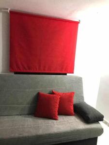 マドリードにあるAgradable apartamento en zona Malasaña Madridの赤い枕2つ付きソファの上の赤い壁