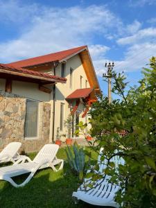Zahrada ubytování Pensiunea Casa Amy