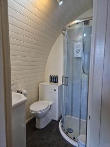 a white bathroom with a toilet and a shower at The Travellers Rest in Newquay
