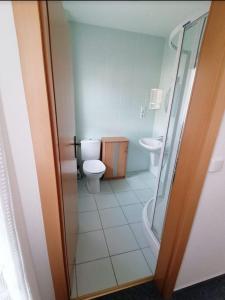 a small bathroom with a toilet and a shower at Ferienwohnung Matthias Plath Lancken-Granitz bei Ostseebad Binz und Sellin in Lancken-Granitz