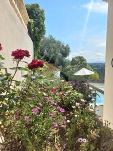ogród kwiatów obok ściany w obiekcie Studio les étoiles d'Azur w mieście Aspremont
