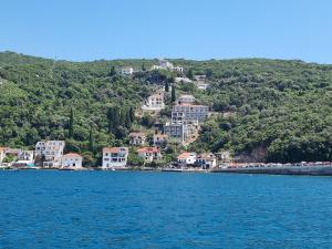 a town on a hill next to a body of water at Agape Rose Hotel in Tivat