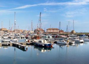 a bunch of boats docked in a marina at Thornhill House in Hartlepool