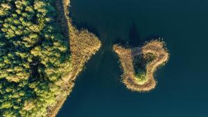 an aerial view of a lake with trees and water at Łabędzi Ostrów Ośrodek Wypoczynkowy in Piękna Góra