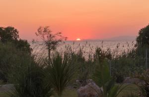 einen Sonnenuntergang über dem Meer mit der Sonne am Horizont in der Unterkunft Panaxia Villas in Theologos