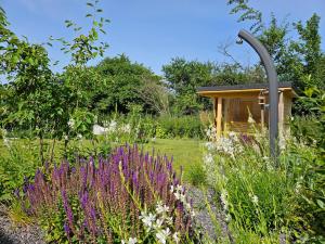 ミクロフにあるDům na jihu Mikulov s finskou saunouの紫の花の庭園