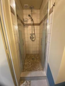 a shower with a glass door in a bathroom at Leleka Apartment 9 in Esbly