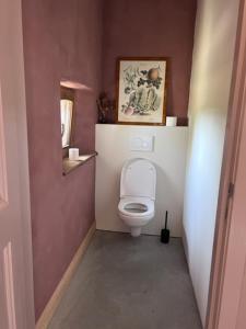 a bathroom with a toilet with a picture on the wall at 't Schaaphof Tent en Ontbijt in Deinze