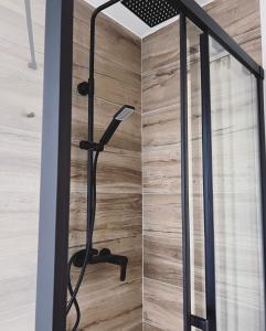 a shower in a bathroom with a glass door at Casa Amapola in Follonica