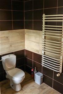 a bathroom with a toilet and a towel rack at Agroturystyka u Koziołka in Długowola