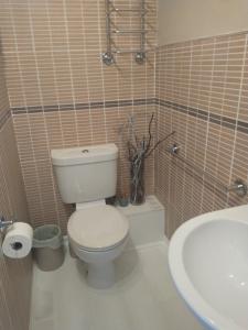 a bathroom with a white toilet and a sink at Smiddy House in Spean Bridge