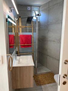 a bathroom with a sink and a shower at Spitaki in Polis Chrysochous