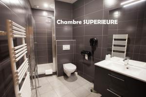 Hôtel Terminus - Pizzeria Pizz'a gogo - salle de sport - face à la gare的一间浴室