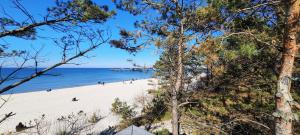 - une vue sur la plage à travers quelques arbres dans l'établissement Bel Mare Aqua, à Międzyzdroje
