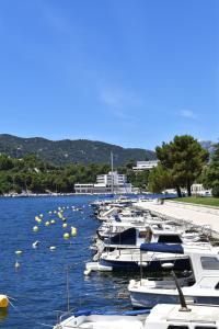 a bunch of boats are docked in the water at Hotel Tolero in Ploče