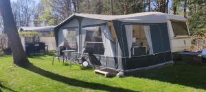 een groene en witte tent in het gras bij Bøllingsø Camping in Engesvang