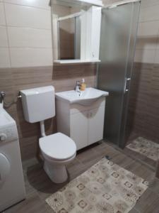 a bathroom with a toilet and a shower and a sink at Apartman Uros in Pale