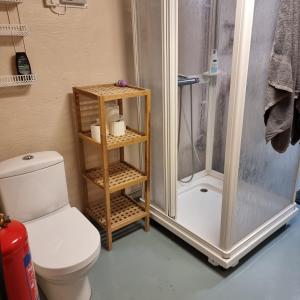 a small bathroom with a shower and a toilet at 4-bäddsrum Hultsfred in Hultsfred