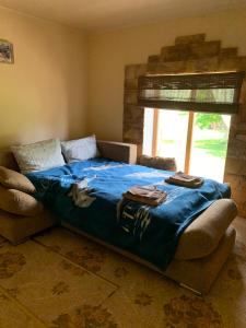 - une chambre avec un lit et une couverture bleue dans l'établissement Ģimenes māja “Rukši”, à Dokupe