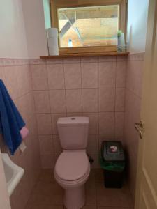 Elle comprend une petite salle de bains pourvue de toilettes et d'une fenêtre. dans l'établissement Ģimenes māja “Rukši”, à Dokupe